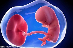 男科专家